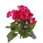 Begonia artificial BIRMA con varilla, rosa fuerte, 20 cm, Ø 3-5 cm