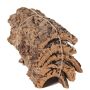 Trozos de corteza de corcho natural DIANTHA, 5 unidades, marrón, 50 x 25 cm