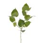 Rama decorativa de Ficus religiosa IRELIA, con frutos, verde, 80 cm