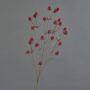 Cardo noble de plástico LOUKAS, rojo, 70 cm, Ø 1-1,5 cm
