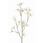 Rama decorativa de Tweedia solanoides PALLAS, blanca, 70 cm, Ø 5 cm