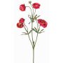 Ranúnculo de terciopelo YARIS, rosa-verde, 65 cm, Ø 3-4,5 cm