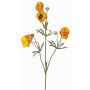 Ranúnculo de terciopelo YARIS, naranja-amarillo, 65 cm, Ø 3-4,5 cm