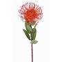 Alfiletero artificial Protea BAILY, naranja, 55 cm, Ø 10 cm