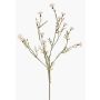 Rama decorativa de aciano ZENOBIOS, color crema, 80 cm, Ø 3-4 cm
