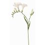 Flor decorativa fresia MARUSHA, blanca, 70 cm, Ø 6 cm