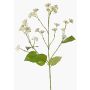 Rama artificial de eupatorio KORALIA, color crema, 80 cm, Ø 4-7 cm