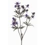 Rama decorativa de cardo noble KALYPSO, violeta oscuro, 65cm, Ø3-4cm