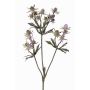 Rama decorativa de cardo noble KALYPSO, lila, 65cm, Ø3-4cm