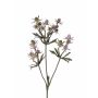 Rama decorativa de cardo noble KALYPSO, lila, 65 cm, Ø 3-4 cm