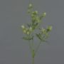 Rama decorativa de cardo noble KALYPSO, verde, 65 cm, Ø 3-4 cm