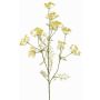 Rama decorativa de eneldo WINCENT con flores, amarilla, 80cm, Ø5-7cm