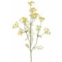 Rama decorativa de eneldo WINCENT con flores, amarilla, 80 cm, Ø 5-7 cm