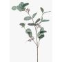 Rama decorativa de eucalipto MAXEN con frutos, verde-gris, 75 cm