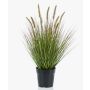 Planta artificial de hierba «Federborstengras» YWAIN con espigas, beige-verde, 60 cm