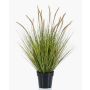 Planta artificial de hierba YWAIN con plumas y espigas, beige-verde, 85 cm