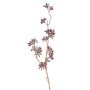Rama de eucalipto artificial SOHA con frutos, marrón, 60 cm