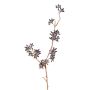 Rama de eucalipto artificial SOHA con frutos, marrón oscuro, 60 cm