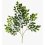 Rama artificial de rombo de naranja SCUTI, verde, 70 cm
