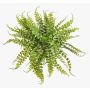 Helecho de botón sintético IMAI en varilla, verde, 40 cm, Ø 50 cm
