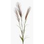 Rama artificial de hierba de la pampa ADNANE con panículas, marrón, 90 cm