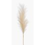 Planta artificial de hierba de la pampa con espiga AMATSIA, color crema, 115 cm