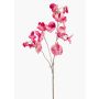 Flor artificial decorativa de guisante de olor KANZI, rosa-crema, 75 cm, Ø 4-7 cm