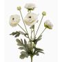 Rama decorativa de ranúnculo HIBBA, color crema, 65 cm, Ø 5-7 cm