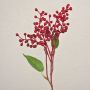 Rama decorativa de bayas de saúco TEITH con frutos, roja, 40 cm