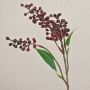 Rama decorativa de bayas de saúco TEITH con frutos, rojo burdeos, 40 cm