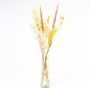 Flores secas decorativas con botella LOTTCHEN, marrón, 77 cm, Ø 15 cm