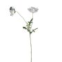 Rama de amapola de plástico GUNDULA, Colección Eco, azul grisáceo, 70 cm, Ø 7-8 cm