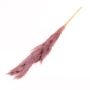 Hierba de la pampa seca ANIAMI, lila, 130-140 cm, Ø 20 cm