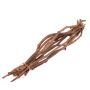Mazo de sarmientos ROSHAN, secos, 10 unidades, natural, 65 cm