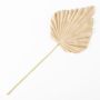 Hoja de palmera artificial Washingtonia RUNING, beige-amarillo, 60 cm