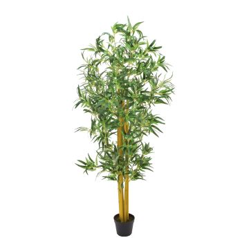 Bambú artificial HIROKO, troncos naturales, 180 cm Bambú artificial HIROKO, troncos naturales, 180 cm