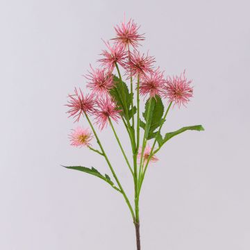 Rama decorativa de cardo esférico GESKENDA, rosa-amarillo, 60 cm, Ø 3,5-5 cm Rama decorativa de cardo esférico GESKENDA, rosa-amarillo, 60 cm, Ø 3,5-5 cm