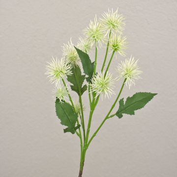 Rama decorativa de cardo esférico GESKENDA, crema-blanco, 60 cm, Ø 3,5-5 cm Rama decorativa de cardo esférico GESKENDA, crema-blanco, 60 cm, Ø 3,5-5 cm