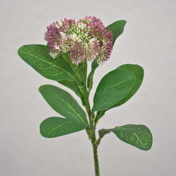 Flor de Sedum telephium de plástico EILIDH, malva-crema, 30 cm, Ø 7 cm Flor de Sedum telephium de plástico EILIDH, malva-crema, 30 cm, Ø 7 cm
