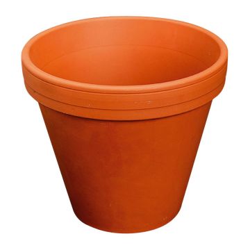 Macetero de terracota ARVION, 12cm, Ø13cm