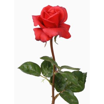 Rosa de plástico AMELIE, roja, 70cm, Ø8cm Rosa de plástico AMELIE, roja, 70cm, Ø8cm