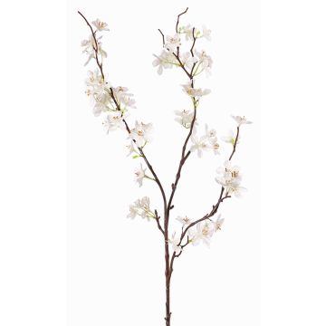 Rama decorativa de manzano en flor LOUISA, floración, blanco-crema, 85cm Rama decorativa de manzano en flor LOUISA, floración, blanco-crema, 85cm