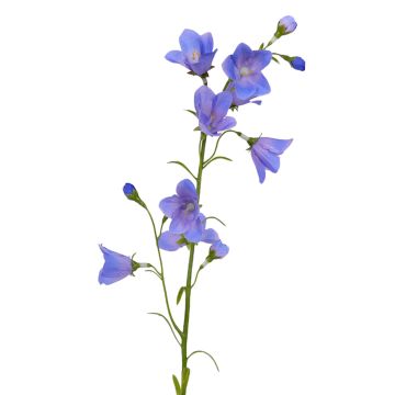 Campanilla de plástico GISELA, azul, 65cm, Ø1-4cm Campanilla de plástico GISELA, azul, 65cm, Ø1-4cm