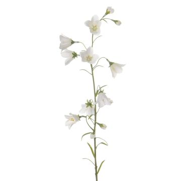 Campanilla de plástico GISELA, blanca, 65cm, Ø1-4cm Campanilla de plástico GISELA, blanca, 65cm, Ø1-4cm