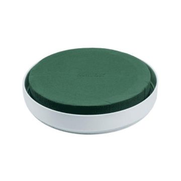 OASIS® Bandeja redonda de masa de fijación húmeda para arreglos florales, en bandeja de plástico, verde y blanco, 6 cm, Ø 25 cm OASIS® Bandeja redonda de masa de fijación húmeda para arreglos florales, en bandeja de plástico, verde y blanco, 6 cm, Ø 25 cm