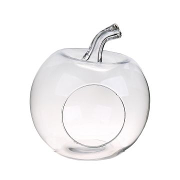 Terrario decorativo TISOA de cristal en forma de manzana, transparente, 26cm, Ø24cm