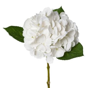 Flor de plástico, hortensia KLUVT, blanca, 50cm Flor de plástico, hortensia KLUVT, blanca, 50cm