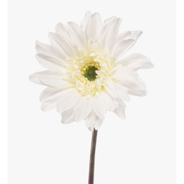 Gerbera artificial FRALWE, colección Eco, blanca, 65 cm, Ø 13 cm Gerbera artificial FRALWE, colección Eco, blanca, 65 cm, Ø 13 cm