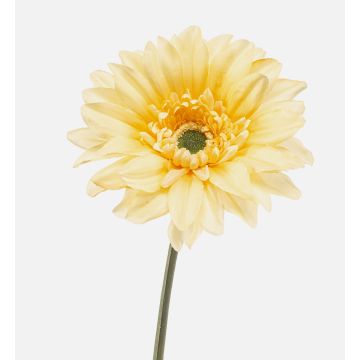 Gerbera sintética FRALWE, colección Eco, amarillo claro, 65cm, Ø13cm Gerbera sintética FRALWE, colección Eco, amarillo claro, 65cm, Ø13cm