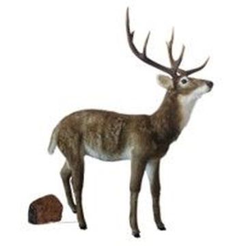 Figura decorativa de ciervo XXL marrón-blanco BLAER, 138x63x172cm Figura decorativa de ciervo XXL marrón-blanco BLAER, 138x63x172cm